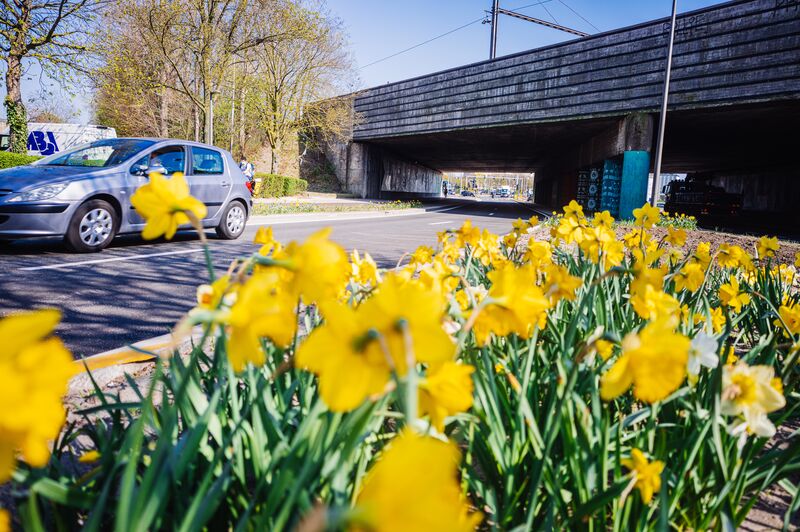 Berm van Platin Moretuslei in Antwerpen