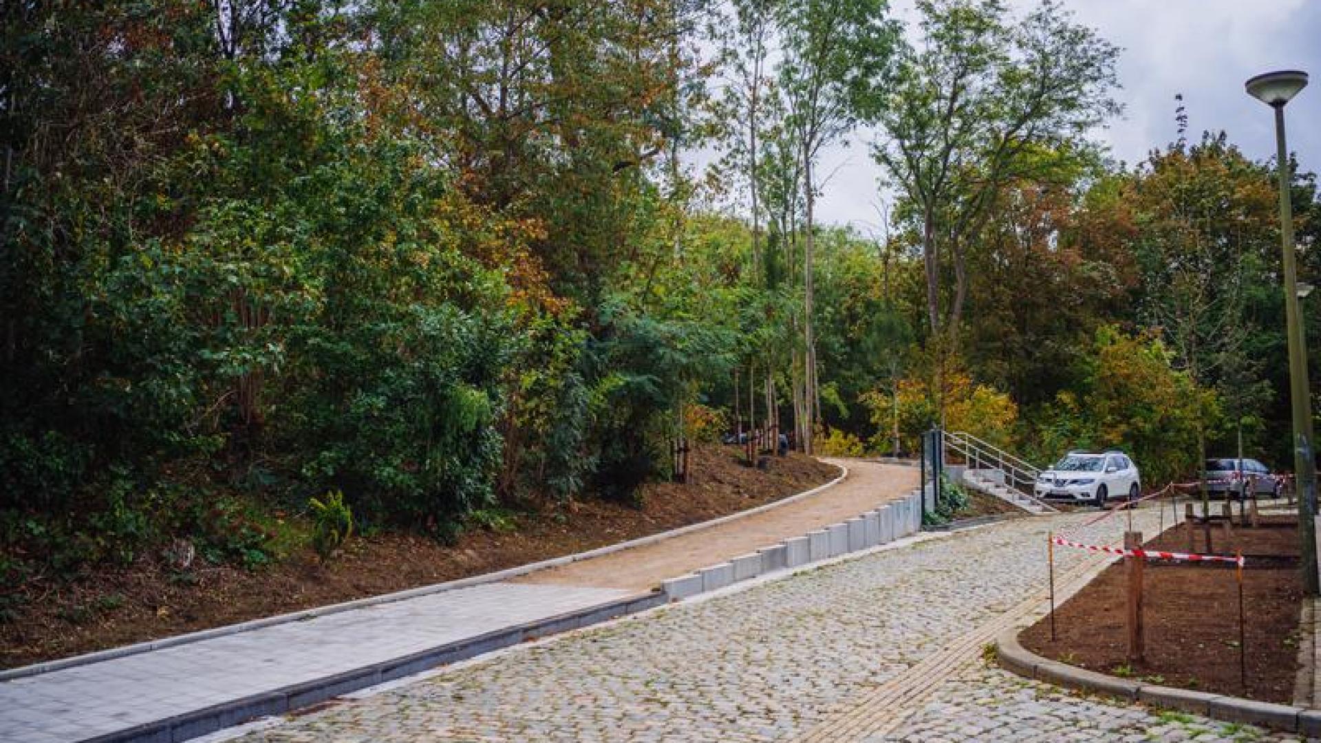 20200925 R23 Leuven Bushalte Den Boschsingel 003