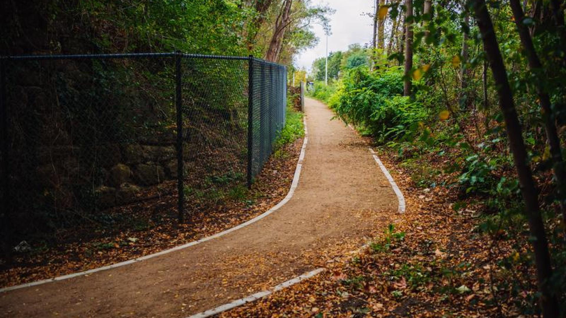 20200925 R23 Leuven Bushalte Den Boschsingel 010