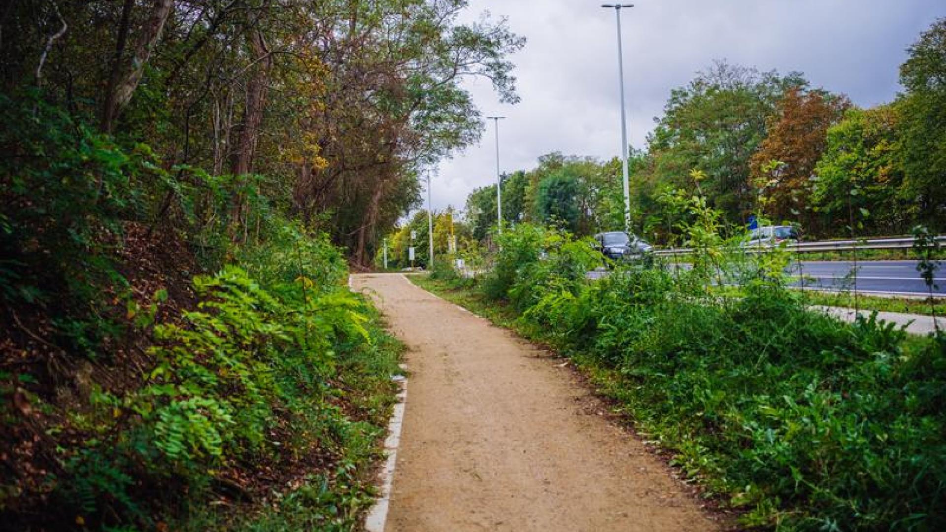 20200925 R23 Leuven Bushalte Den Boschsingel 011
