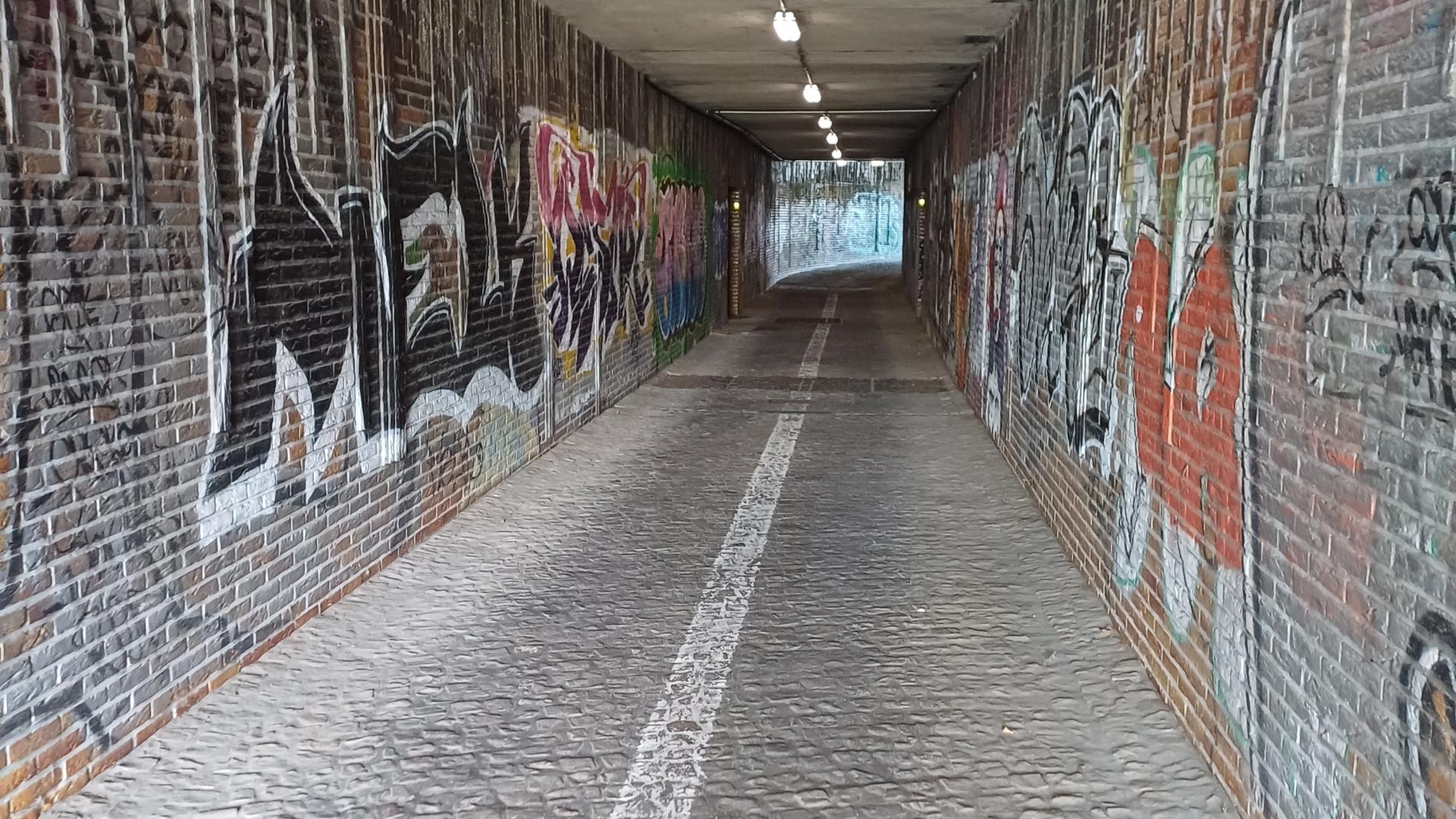 foto fiets-en paardentunnel 