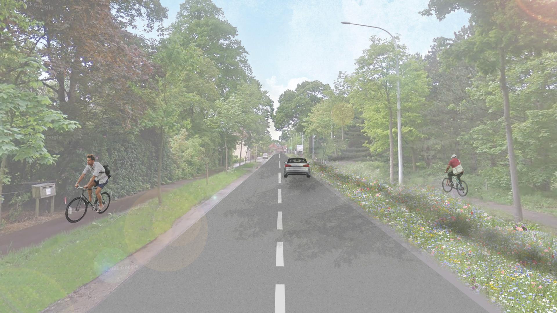 Visualisatie THB - Hippolytestraat