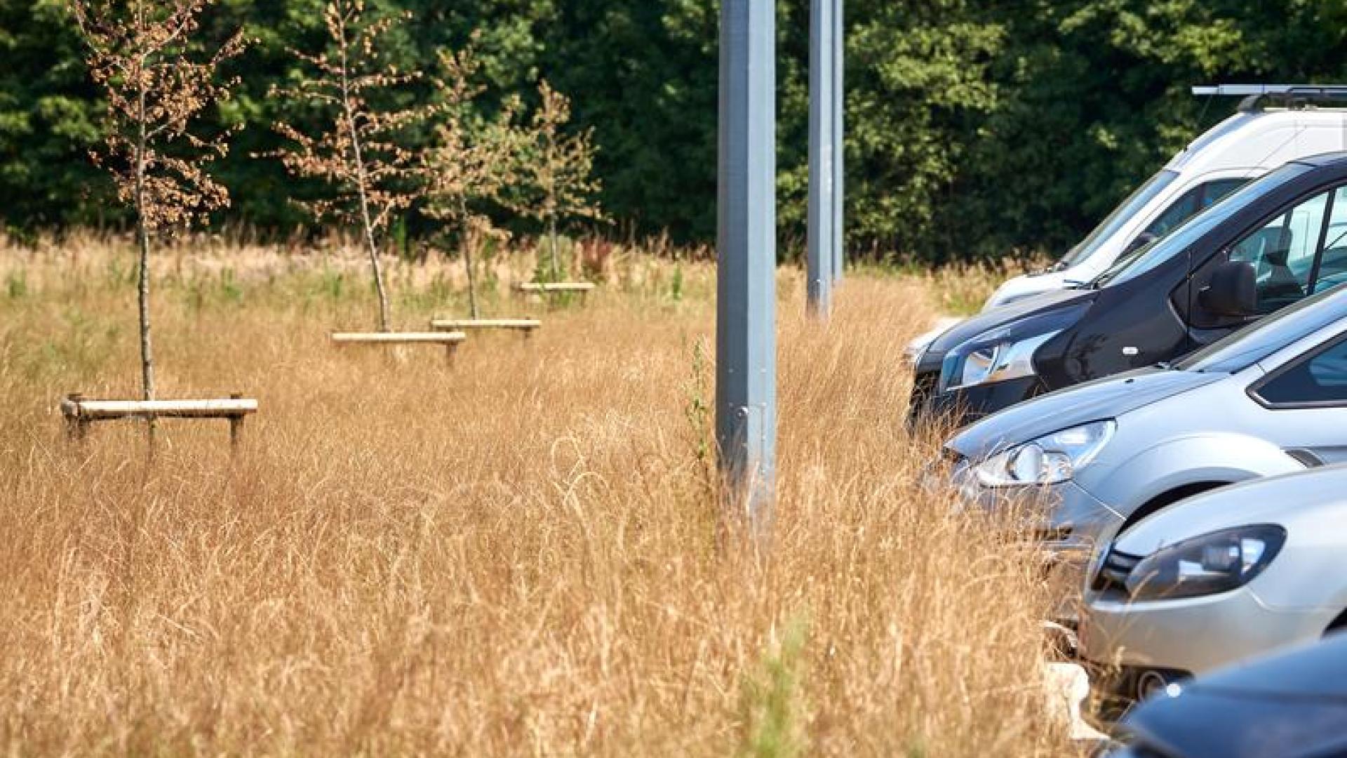 Carpoolparking Lokeren E17 x N47 10