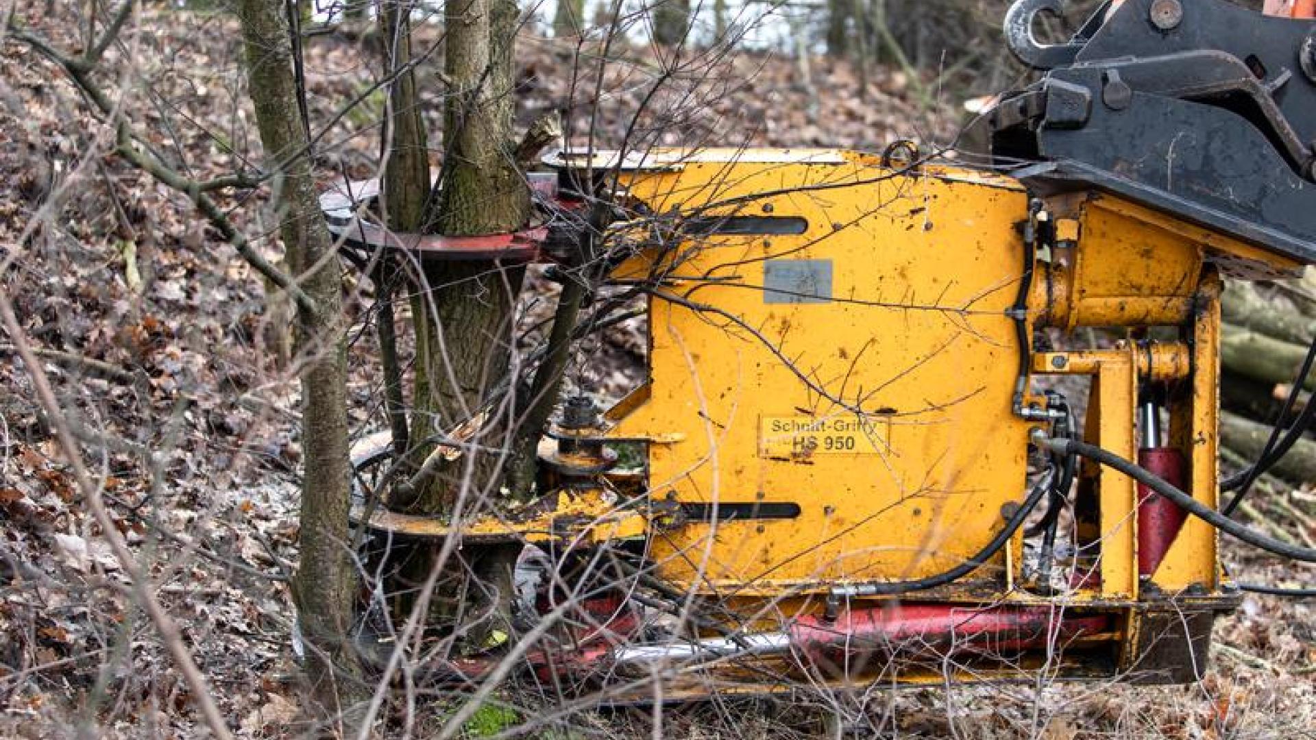 Sepp van Dun_Absoluut_AWV_Hakhoutbeheer Overpelt-31