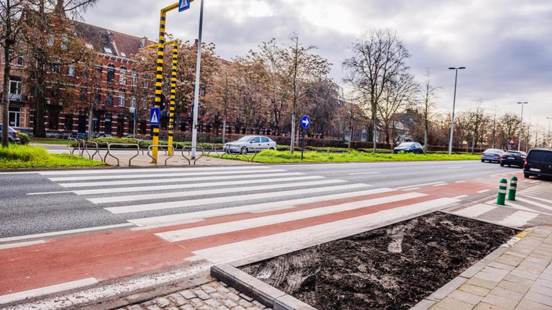 20220121 R23_Leuven_Gevleugelde_zebrapaden 004