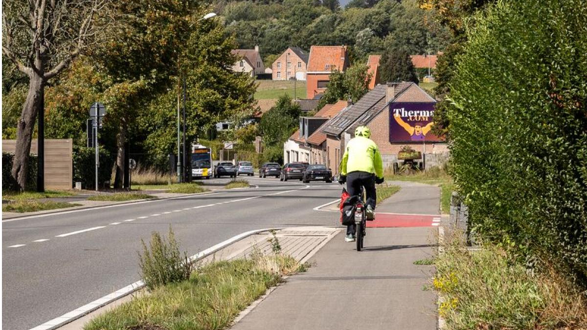 De werken tussen het Brabants Dalplein en de Isidoor Meyskensstraat kaderen binnen een grotere herinrichting van de gewestweg.