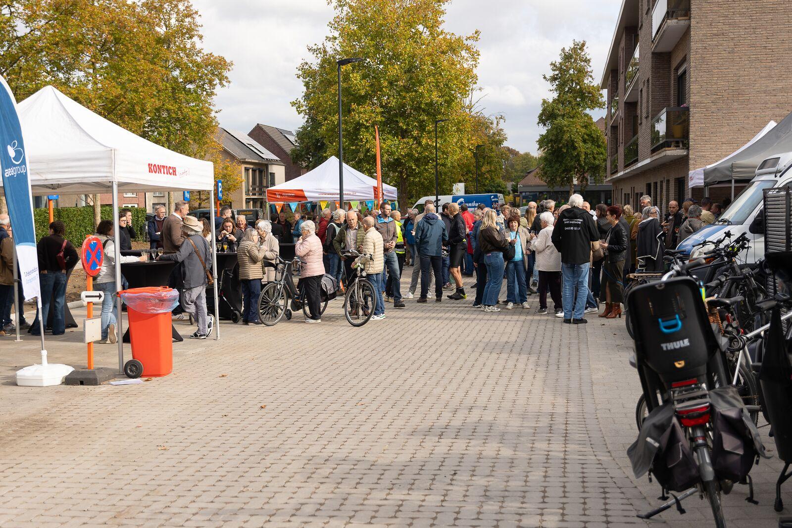 Inhuldiging Koningin Astridlaan (N1)