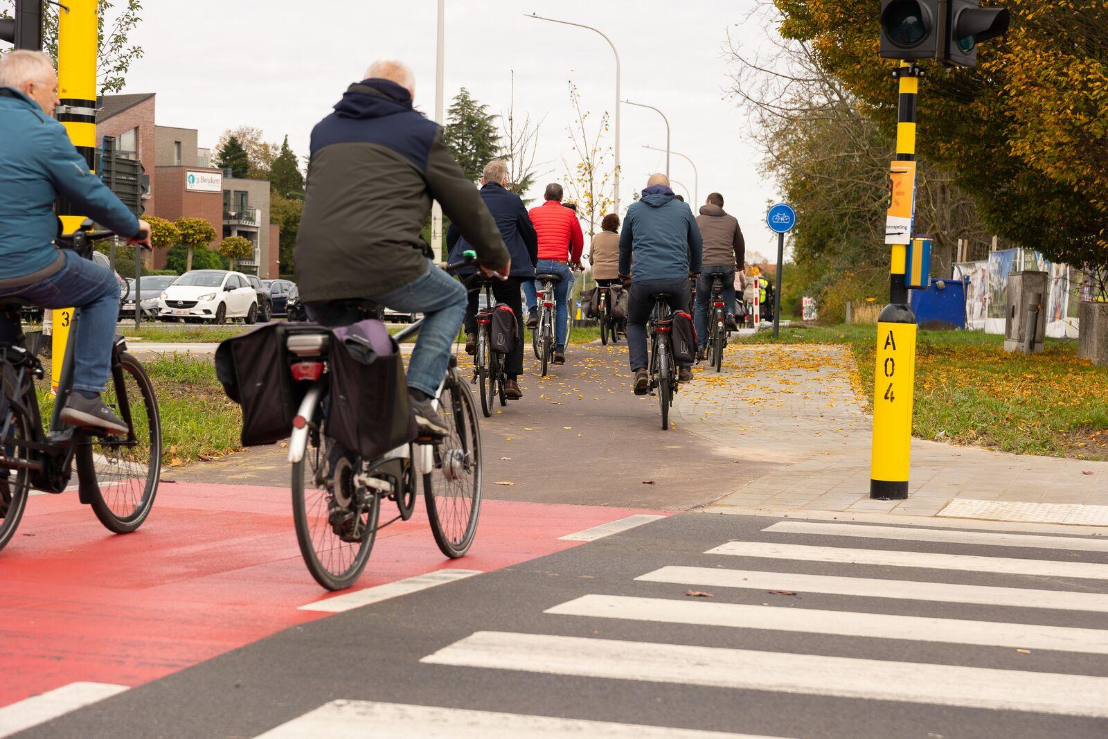 Inhuldiging Koningin Astridlaan (N1)