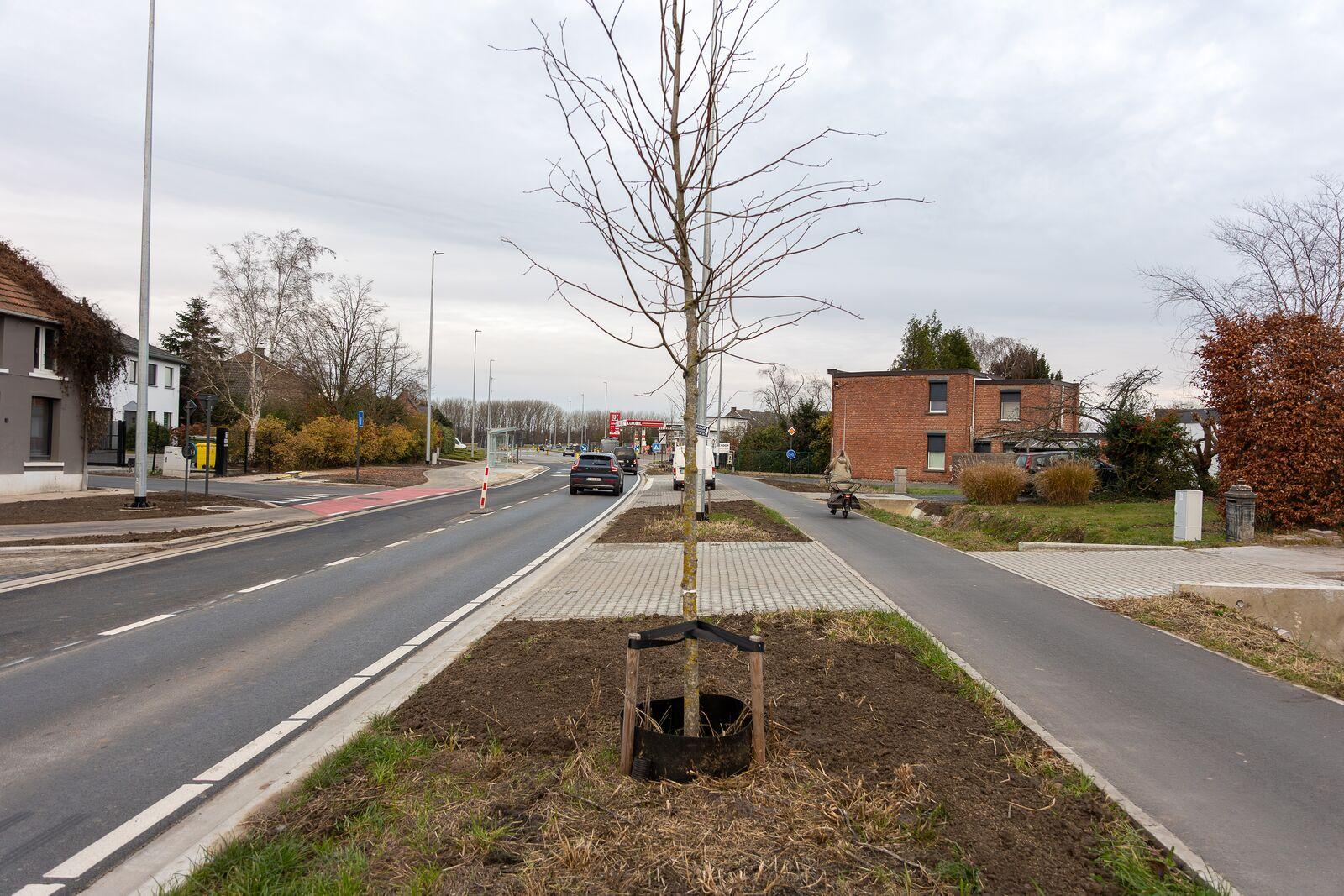 N10 Aarschotsesteenweg Lier - herinrichting-10