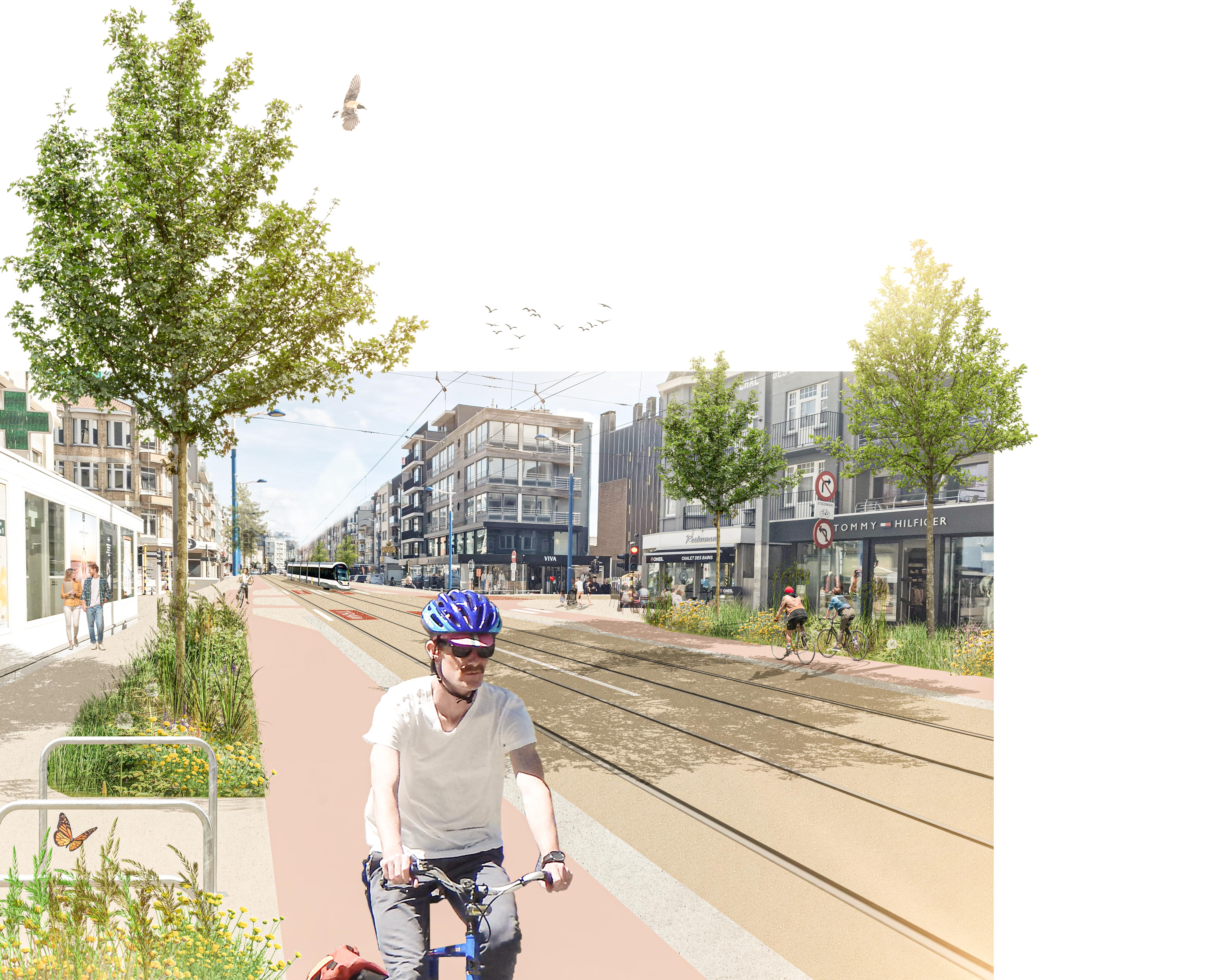 Toekomstbeeld_N34 Kokzijde_Zeelaan