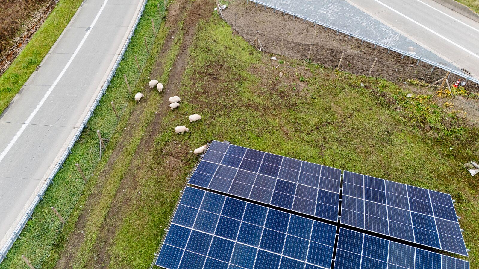 zonnepanelen Zelzate 2