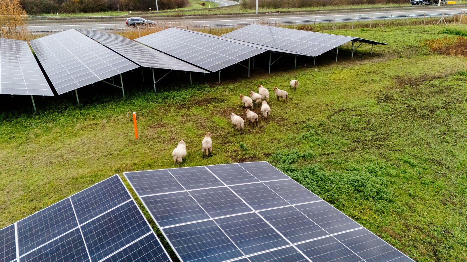 zonnepanelen Zelzate 5