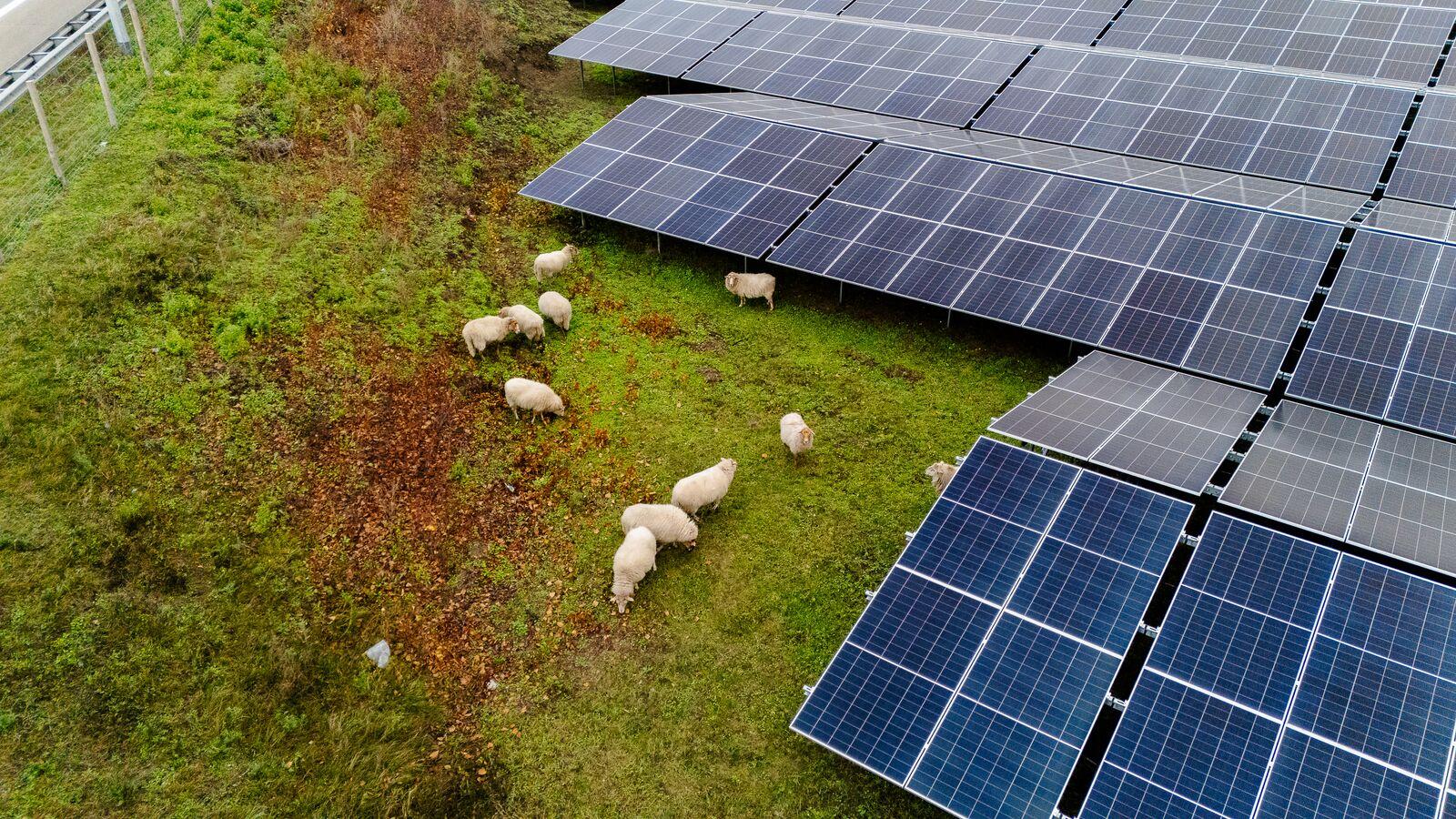 zonnepanelen Zelzate 7